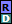 R A R P Disable icon
